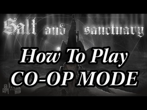 How To Access Salt & Sanctuary's CO-OP Mode