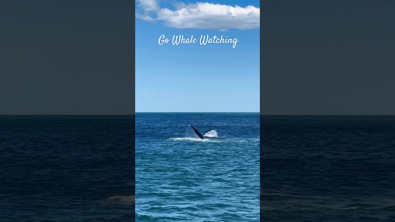 YouTube Short thumbnail