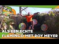 DAG 14 | ZAPPSPORT@HOME WORKOUT MET ROY MEYER | ZAPPSPORT