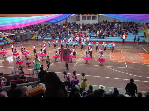 JUVENTUD TARKADA SELVA ALEGRE - CONCURSO DE TARKADAS, PINQUILLADAS Y CH. PUNO 2019