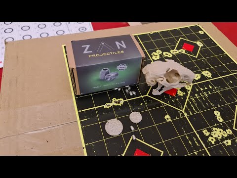 In the field with Zan Lead Free slugs in Sub12. Better than pellets??