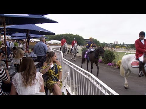 First look: New Zealand’s famous Ellerslie race track gets a $6 million makeover