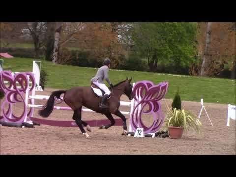 Lisheen lismakeera - Milstreet 5yr Old Spring Tour Final