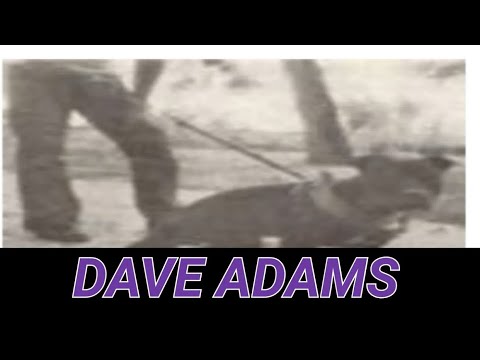 Interview with legendary Dog man Dave Adams #apbt #pitbull #youtube