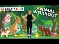 Tabata Workout For KIDS The Animal Workout Ages 3 8 W TabataKidsWorkouts