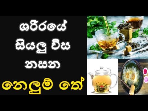 download lagu mp3 mp4 Shra, download lagu Shra gratis, unduh video klip Download Shra Mp3 dan Mp4 Viral Gratis