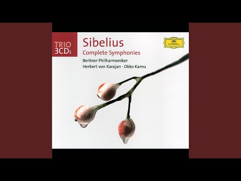 Sibelius: Symphony No. 2 in D Major, Op. 43: IV. Finale (Allegro moderato)