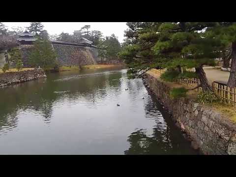 UNA  PROMESA   17-0301#473