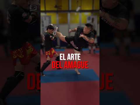 🥊 EL ARTE DEL AMAGUE