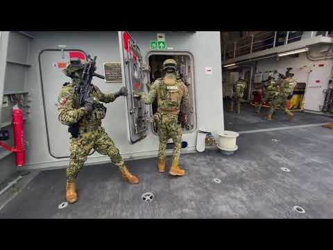 Mercenarios de guerra activos en la semar