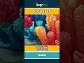 coral reef - 珊瑚礁 video thumbnail