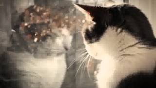 Download lagu Time Bomb Blues - Mungkin mp3 Download lagu Time Bomb Blues - Mungkin mp3