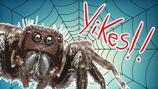 Spiders for Kids  || Animals for Kids || Science for Kids