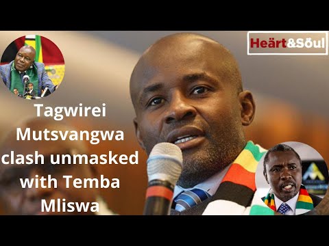 Tagwirei Mutsvangwa clash unmasked with Temba Mliswa#hstvzim #thesituationrightnow
