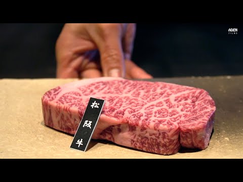 $225 Matsusaka Sirloin Steak - Teppanyaki in Osaka