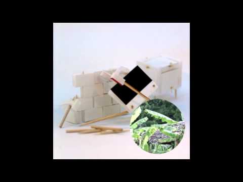 Pompey - Real Hand Shake