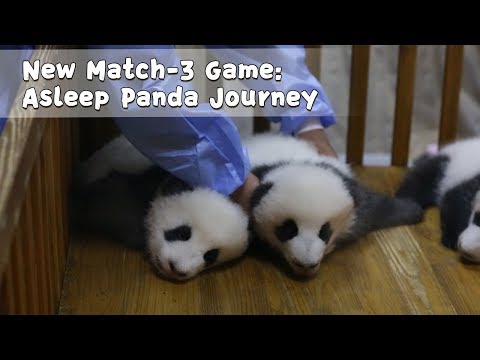 New Match-3 Game: Asleep Panda Journey | iPanda