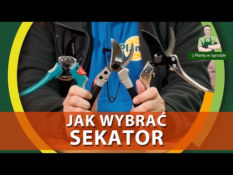 Jaki sekator wybrać - Z PLANTĄ W OGRODZIE