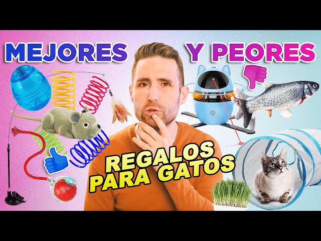 Vídeo relacionado con Only faith Collar de gatos para mujer Acero Inoxidable huellas patas mascota. Con caja de regalo. Regalo amantes de mascotas Perro y Gatos (Gato Luna Plateado)