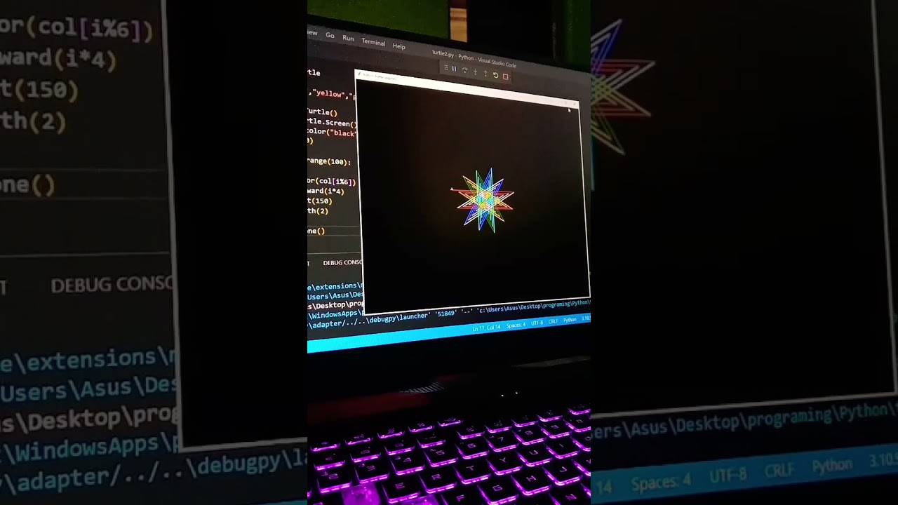 How to make python turtle graphics | Graphics by Python turtle Graphics