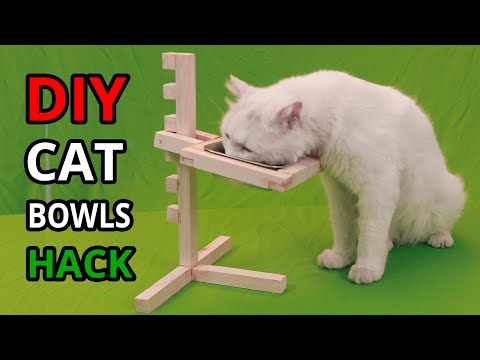 DIY BEST Raised Pet Bowls For Kittens, Cats