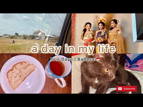 A day in my life | Trio Dayu