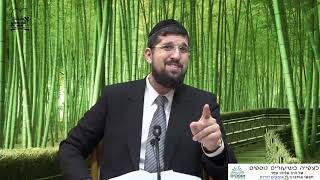 הרב אליהו עמר שליט"א זרע שמשון פרשת וישב