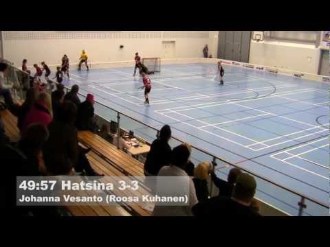 N1: LoSB - Hatsina maalikooste