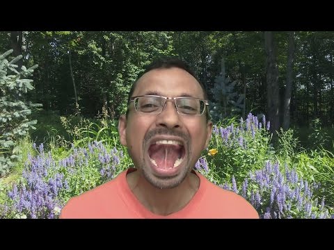 download lagu mp3 mp4 Talabya Kriya Technique, download lagu Talabya Kriya Technique gratis, unduh video klip Talabya Kriya Technique