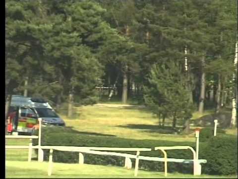 LL, 6. 6. 2015, 7. dostih - CENA SPOLEČNOSTI PRAGIS