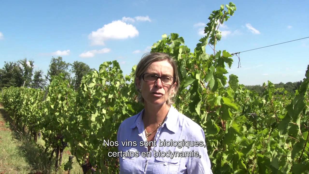 Miniature de la vidéo Résistance Naturelle - Bande Annonce VOST du film Résistance naturelle