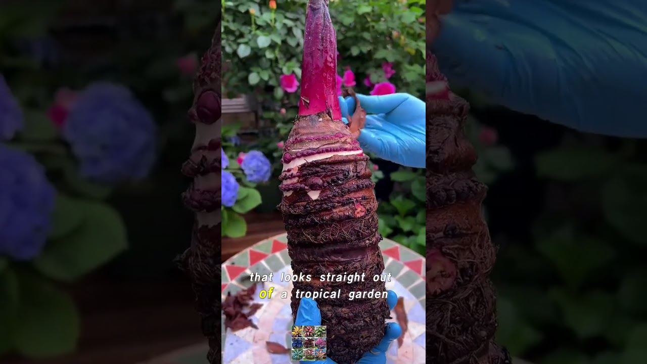 Turn ordinary gardens into vibrant dreamscapes! 🌿✨