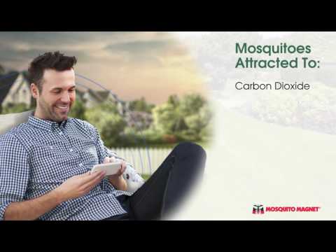 Nät Extra Mosquito Magnet Pioneer