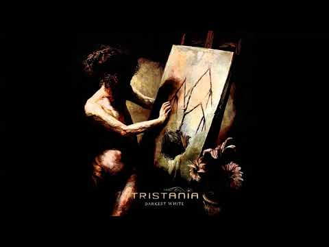 Lavender - Tristania
