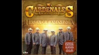 Cardenales de nuevo leon Acariciame mujer lo nuevo