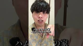 最悪の結末 #ハムスターの家見た事ない