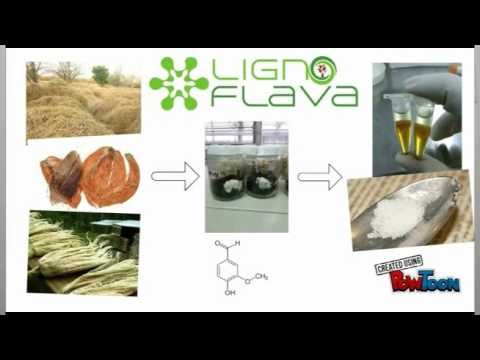Ligno Flava: Sustainable Vanillin Natural Flavor Concept Video