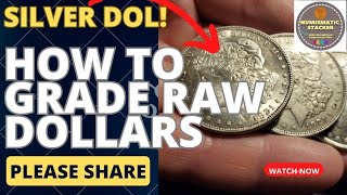 How to grade raw SILVER DOLLARS!  What happens when I dip from the cull BIN! #silver