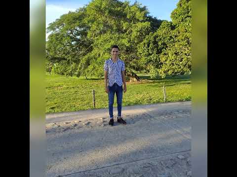 La selva - Luister La voz ••✓