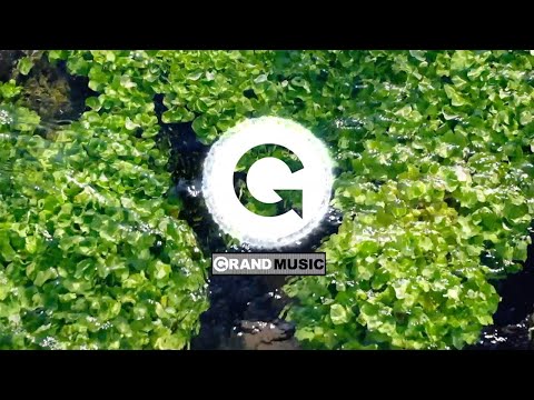 Saeed Younan and Randall Jones - Wassup Wassabi (Randall Jones Remix) | GRAND Music