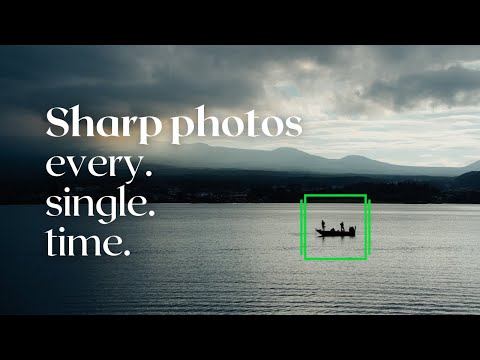 My Autofocus Settings with Sony Cameras