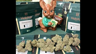 simple twist of fate- run for the roses   12-8-84