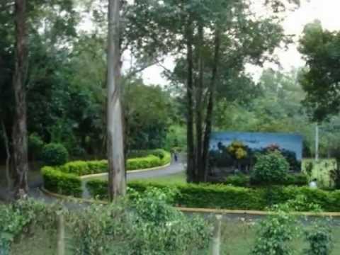 Polcas Ymaguaré -Rosa