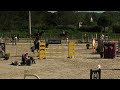 Hongre par Orlando pour CSO ou dressage
