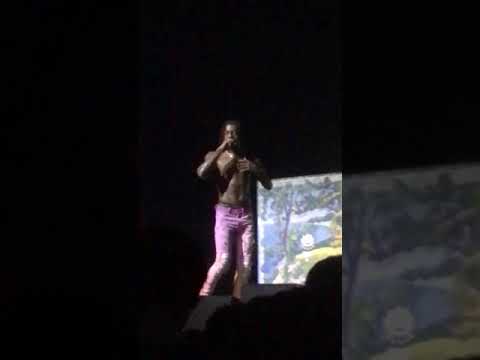 Flatbushzombies live in Zurich
