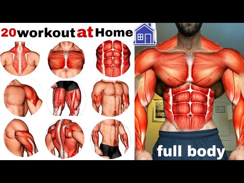 full-body exercises at🏠تمرين الجسم كامل في المنزل home No equipment @S7S_WORKOUT