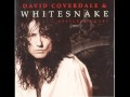 Whitesnake - Crying 