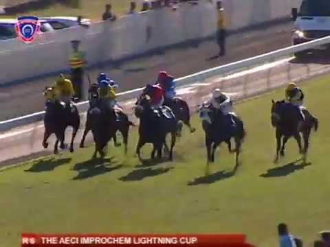 Ernie (Cedric Segeon) - The Lightning Cup (Group 3)