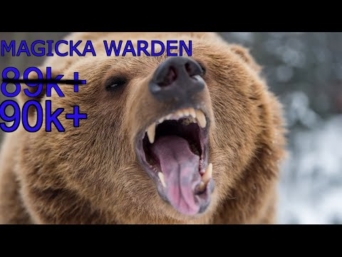 Magicka Warden PVE Build 90k+ - ESO Stonethorn