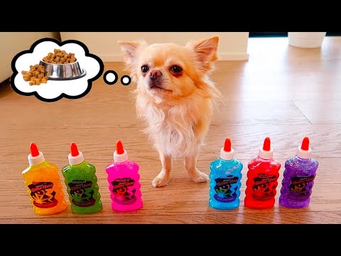 IL NOSTRO CUCCIOLO SCEGLIE GLI INGREDIENTI DELLO SLIME!!